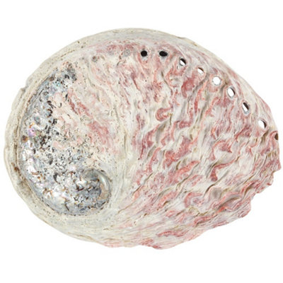 Something Different Abalone Shell Off White/Red/Grey (One Size)