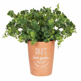 Something Different Dads Herb Garden Plant Pot Terracotta (One Size)
