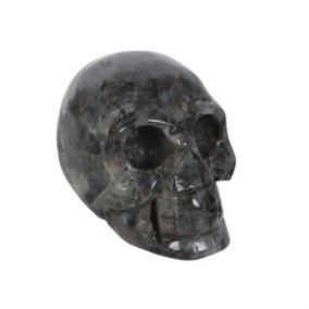 Something Different Dark Matter Labradorite Skull Crystal Black (One Size)