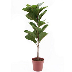 Something Different Fiddle Leaf Artificial Plant Green/Brown/Terracotta (One Size)