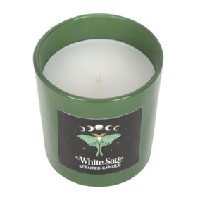Something Different Luna Moth White Sage Scented Candle White/Green (One Size)