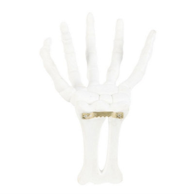 Something Different Skeleton Hand Wall Hook White (One Size)