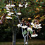 Sorbus Cashmiriana Tree - Kashmir Rowan, White Flowers and Berries, Hardy (5-6ft)