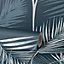 South Beach Palm Leaf Wallpaper Navy Blue Fine Decor FD42681