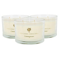 Soy Wax Scented Candles - 350g - Lemongrass - Pack of 3