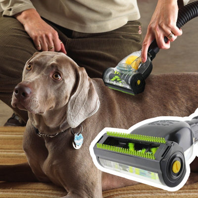 Cat hair vacuum brush store