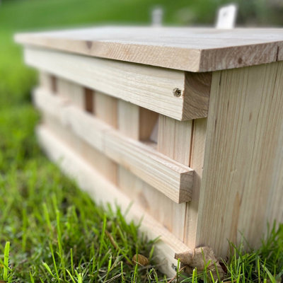Sparrow Colony Terrace Wooden Nesting Box with Removable Nest Fronts - 4