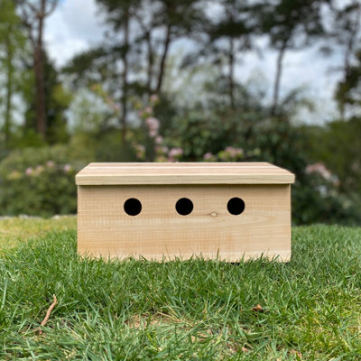 Sparrow Colony Terrace Wooden Nesting Boxes (Set of 2)