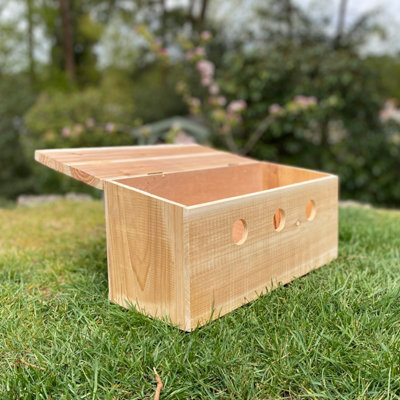 Sparrow Colony Terrace Wooden Nesting Boxes (Set of 2) - 3