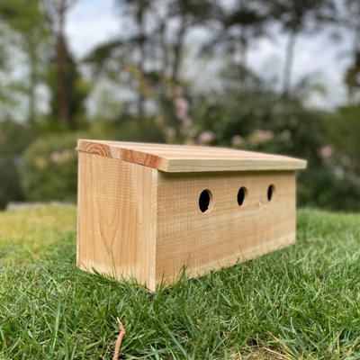 Sparrow Colony Terrace Wooden Nesting Boxes (Set of 2) - 4