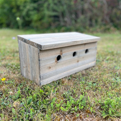 Sparrow Colony Terrace Wooden Nesting Box