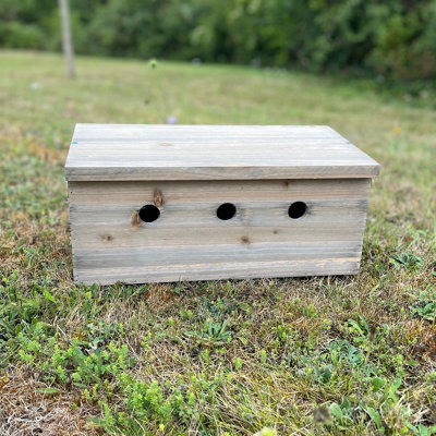 Sparrow Colony Terrace Wooden Nesting Box - 3