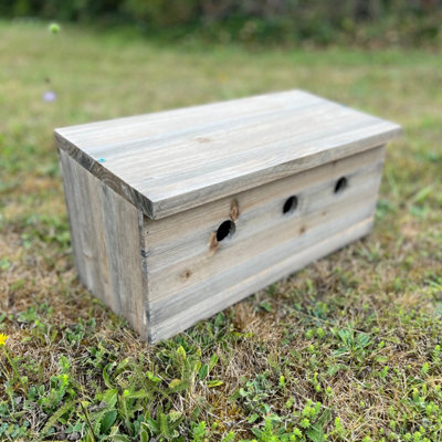 Sparrow Colony Terrace Wooden Nesting Box - 7