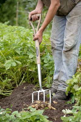 Spear Jackson 4550DF Traditional Stainless Digging Fork
