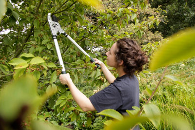 Spear & Jackson 8290KEW Kew Gardens Collectie Razorsharp Robuuste Telescopische Ratel Aambeeld Takkenschaar 752755495