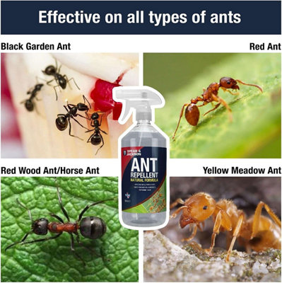 Spear & Jackson Ant Mouse and Spider Repellent 3 x 500ml