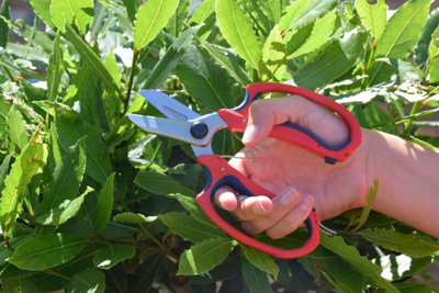 Pruning scissors deals b&q