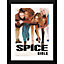Spice Girls Group 30 x 40cm Framed Collector Print