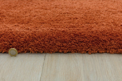 Spice Shaggy Modern Plain Easy to clean Rug for Dining Room Bed Room and Living Room-80cm X 150cm