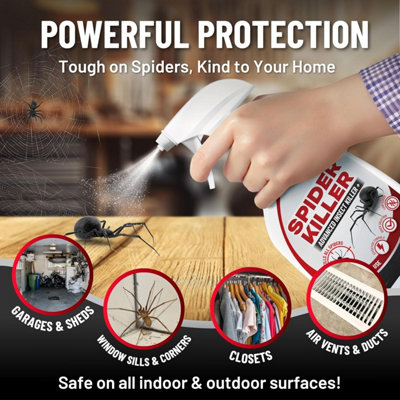 Spider Killer Spray - 500ml- Long-Lasting, Odourless, Fast Acting for ...