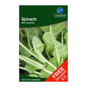 Spinach Beet Perpetual (beta vulgaris)
