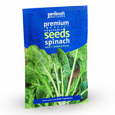 Spinach Beet Perpetual Vegetable Seeds (Approx. 135 seeds) by Jamieson Brothers