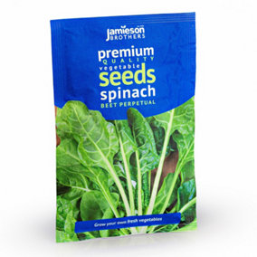Spinach Beet Perpetual Vegetable Seeds (Approx. 135 seeds) by Jamieson Brothers
