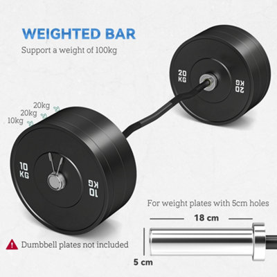 SPORTNOW 120cm EZ Curl Bar, Olympic Barbell Bar for 5cm Weight