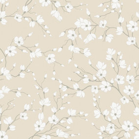 Spring Blossom Wallpaper In Cream