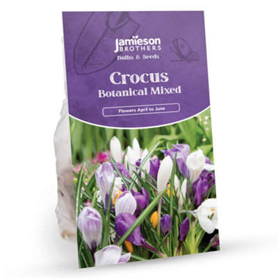 Spring Flowering Mix  (Approx.167 Bulbs ) by Jamieson Brothers - 4