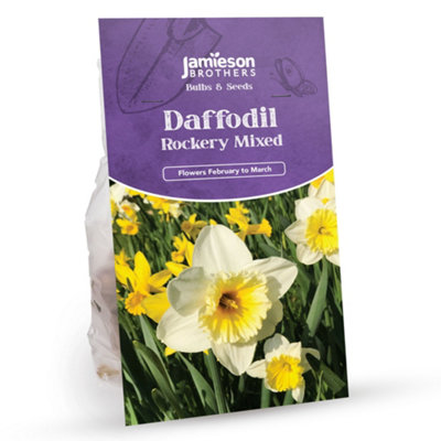 Spring Flowering Mix  (Approx.167 Bulbs ) by Jamieson Brothers - 5