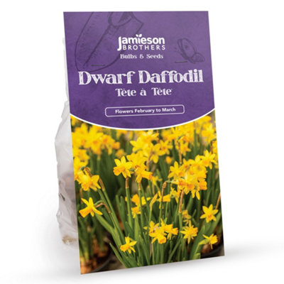 Spring Flowering Mix  (Approx.167 Bulbs ) by Jamieson Brothers - 7