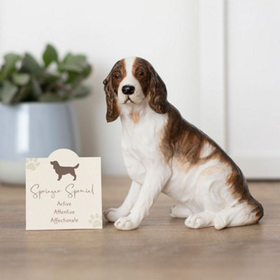 Mini english springer store spaniel