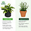 Spudulica 2 Gallon Non-Woven Grow Bags Black Fabric Garden Planter Durable Fabric Vegetable Flower Herb Planter 10x pack
