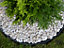 Spudulica HD Garden Edging 5 pieces 5m length 80mm height Black Garden Border system for Paths, Borders, Gravel areas, Tree pits