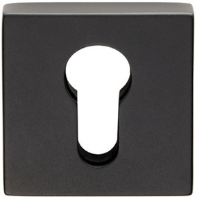 Square Euro Profile Open Escutcheon Concealed Fix 52 x 52mm Black Finish