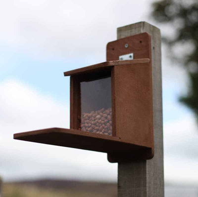 Squirrel Feeder - Plywood - L29 x W13 x H28 cm - 4