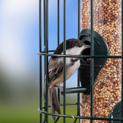 Squirrel Proof Seed Bird Feeder - 4