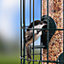 Squirrel Proof Seed Bird Feeder