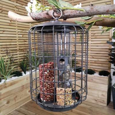 Bird proof best sale outdoor pet feeder