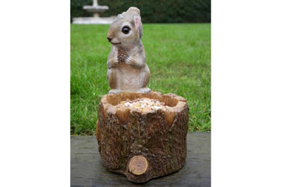 Squirrel sitting on Log bird feeder