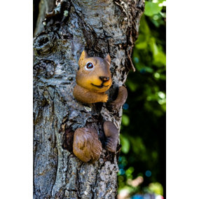 Squirrel Tree Peeker Garden Ornament