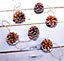 St Helens Home and Garden Hanging Pine Cone Decoration - Pack of 6