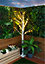 St Helens Home & Garden Indoor/Outdoor LED Birch Tree