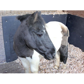 Stable Wall Mat Horsebox Trailer EVA 6ft x 4ft x 10mm Equine Pony