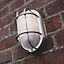 Stainless Steel Cast Aluminium Outdoor Oval Bulkhead Wall Light