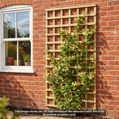 Standard Fence Panels 5 Pack 6ft x 4ft Square Garden Trellis Lattice ...