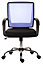 Star Mesh Chair Blue with gas lift seat height adjustment and tilt tension