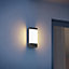 Steinel L 271 C smart Outdoor Wall Light without Motion Sensor, App Operation