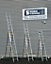 Sterk Systems Triple Section 9  Rung Combination Ladder